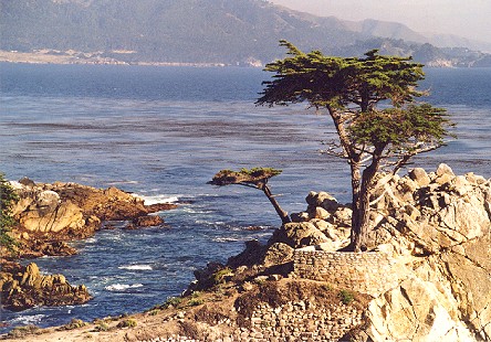 Monterey 04.jpg