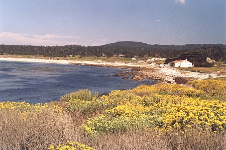 Monterey 05.jpg