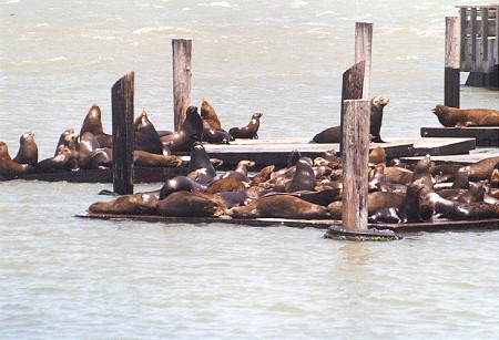 San Francisco Fishermans Wharf 03.jpg