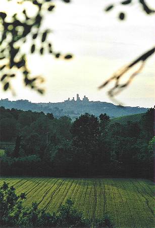 san gimignano6.jpg