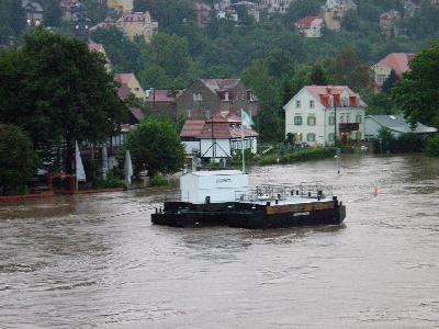 BlauesWunder0005.jpg
