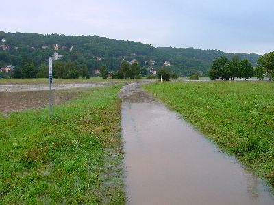 Elbe0004.jpg