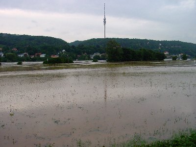Elbe0009.jpg