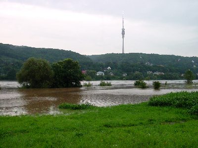 Elbe0011.jpg