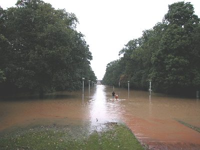 Garten0004.jpg