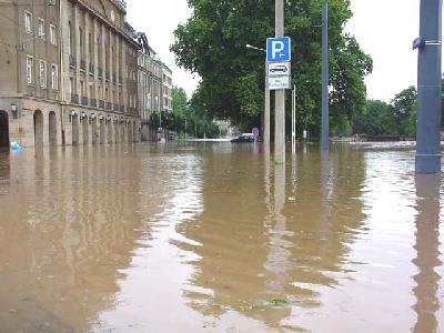 Zwinger0005.jpg