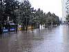 Petersburg0012.jpg