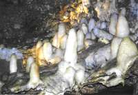 Harrison's Cave