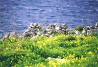 Klippen bei Dingli