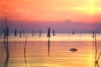 Trasimenischer See