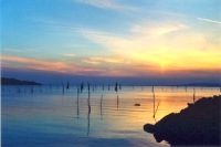 Lago Trasimeno